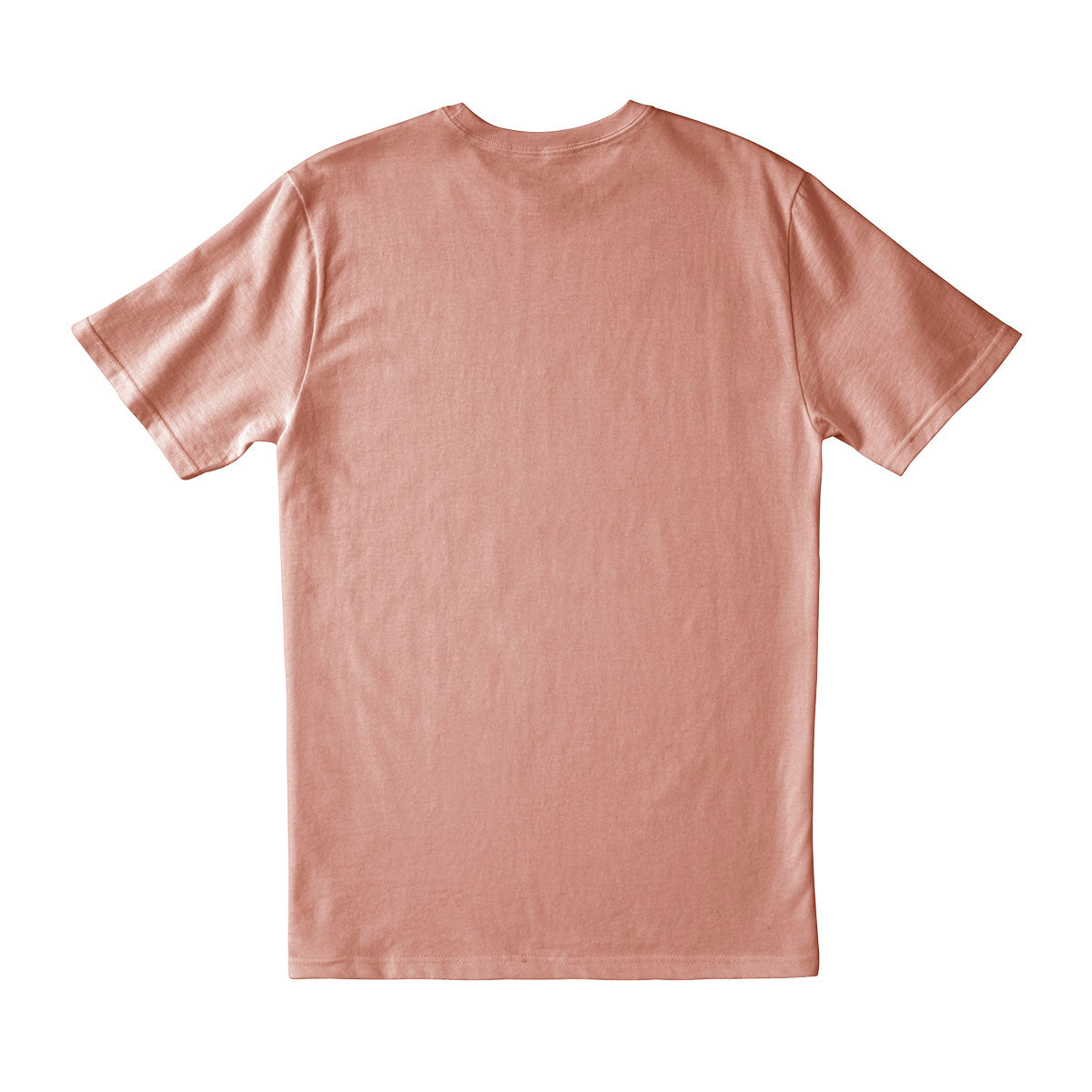 “Roll for Initiative” Dragon Printed Tee in Dusty Peach for Dungeons & Dragons Men's Back