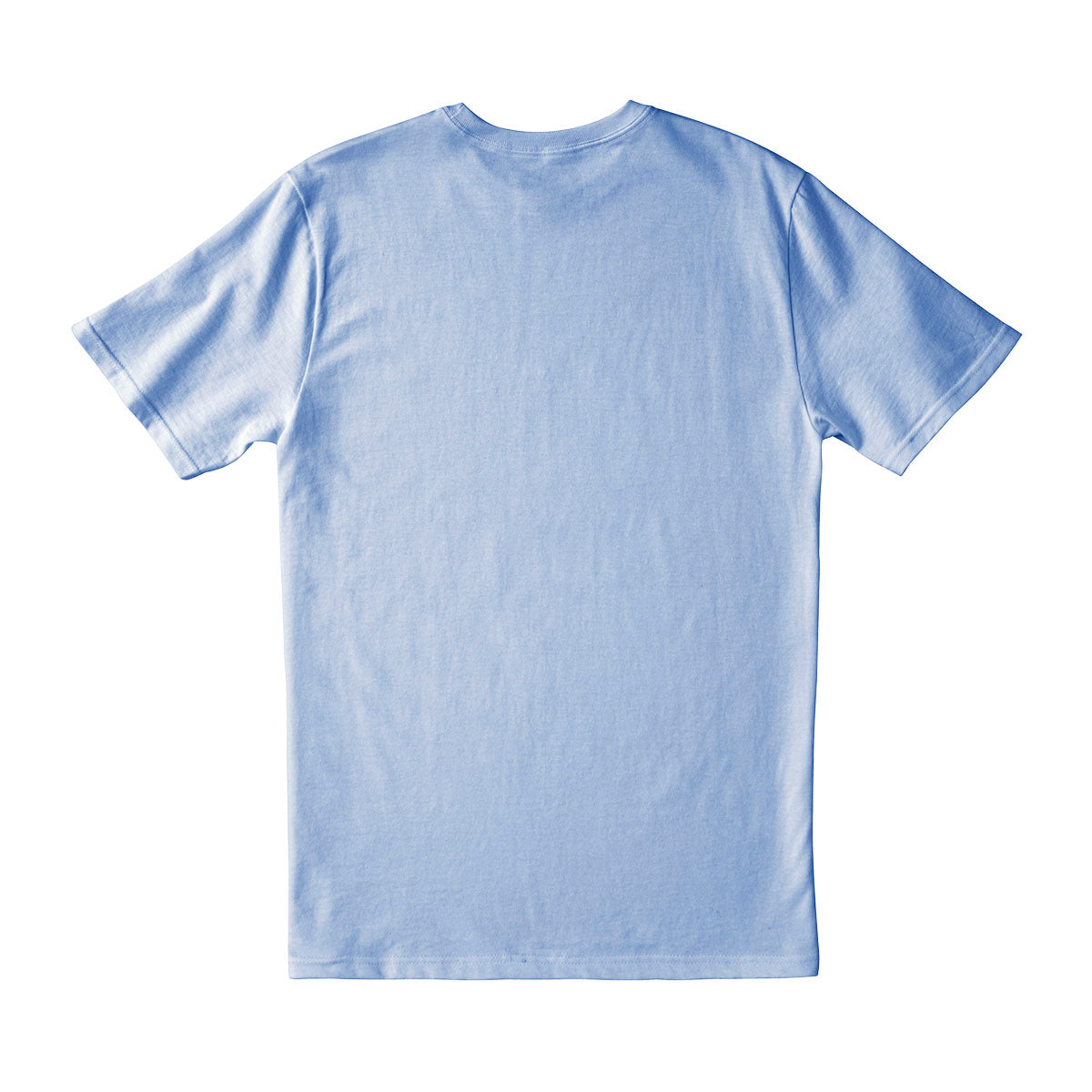 D&D 2024 Mimic Printed Tee in Ice Blue - Be What You Want To Be Men's Back